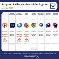 Rapport CVE Janvier 2025