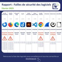 Rapport CVE Fevrier 2025